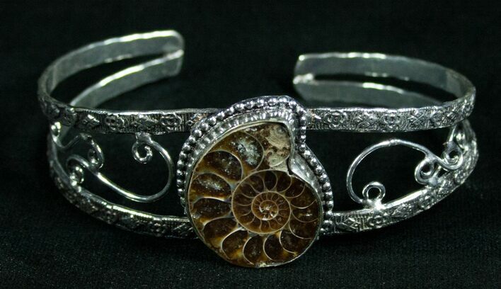 Beautiful Ammonite Fossil Bracelet #4617